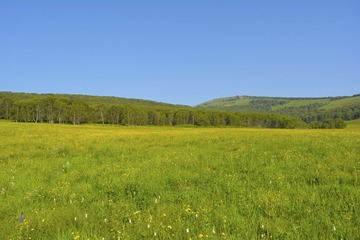 _DSC0242
