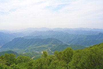 _DSC0253