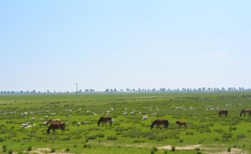 _DSC0021