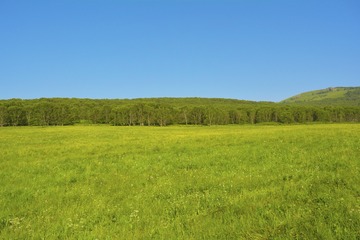 _DSC0229