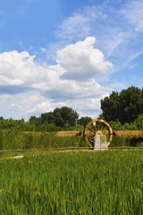 _DSC0711-1