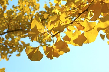 _DSC0011