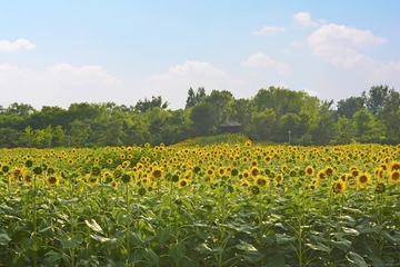_DSC0841