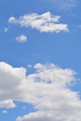 _DSC0510