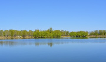 _DSC0518