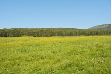 _DSC0350
