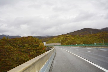 _DSC0885