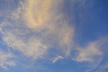 _DSC0201