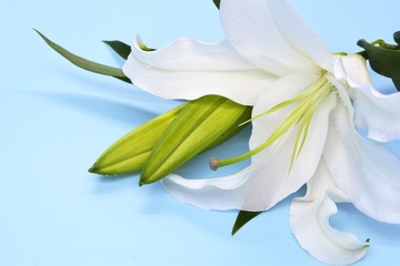 _DSC0405a
