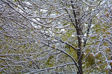 _DSC0182a