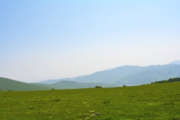 _DSC0375