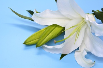 _DSC0405