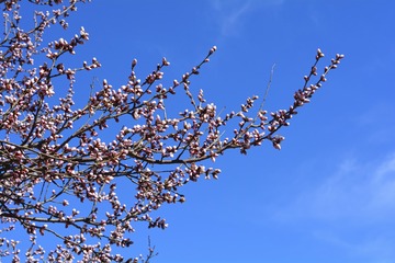 _DSC0921