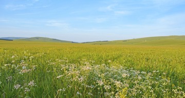 _DSC0162