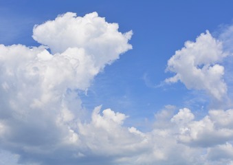 _DSC0694