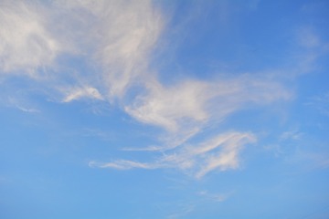 _DSC0212