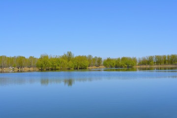 _DSC0519