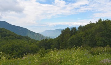 _DSC0823