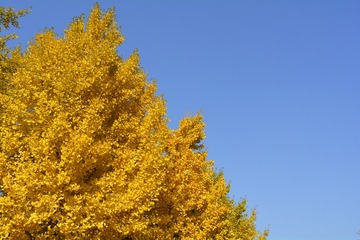 _DSC0141