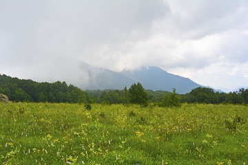 _DSC0984