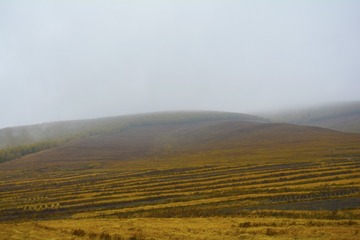 _DSC0729
