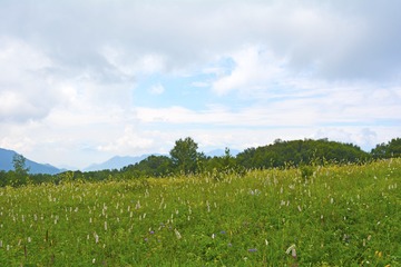 _DSC0995