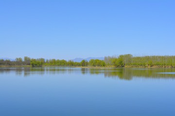 _DSC0517