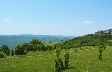 _DSC0704