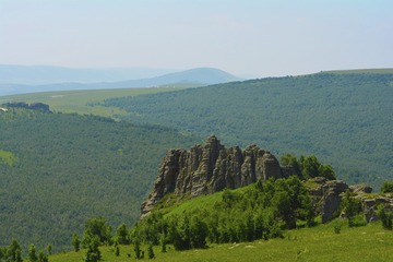 _DSC0514