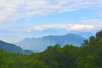 _DSC0803
