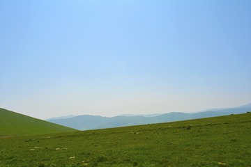 _DSC0383