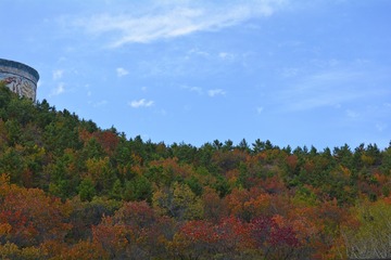_DSC0497