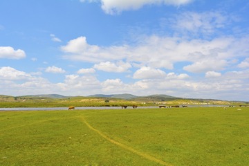 _DSC0144 (2)