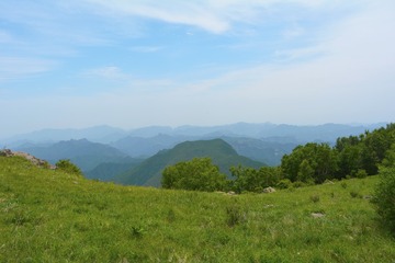 _DSC0436