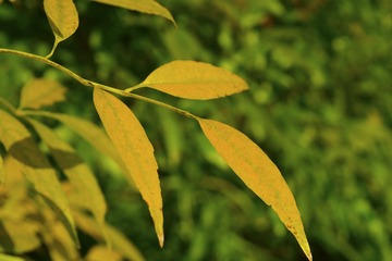 _DSC0147