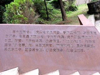 DSCN8225_