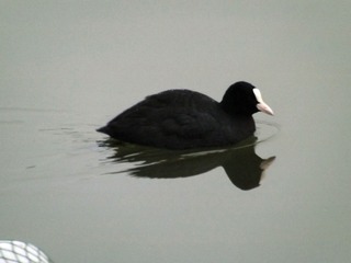 DSCF9846_