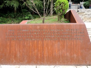 DSCN8223__