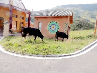 DSCN0400_