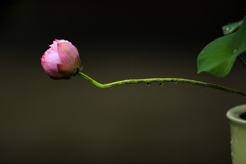 3A5A5831