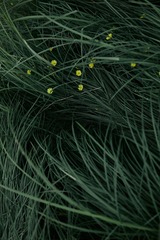 DB292298-6D6A-4BD6-95A8-35D7393AB6DB/L0/001