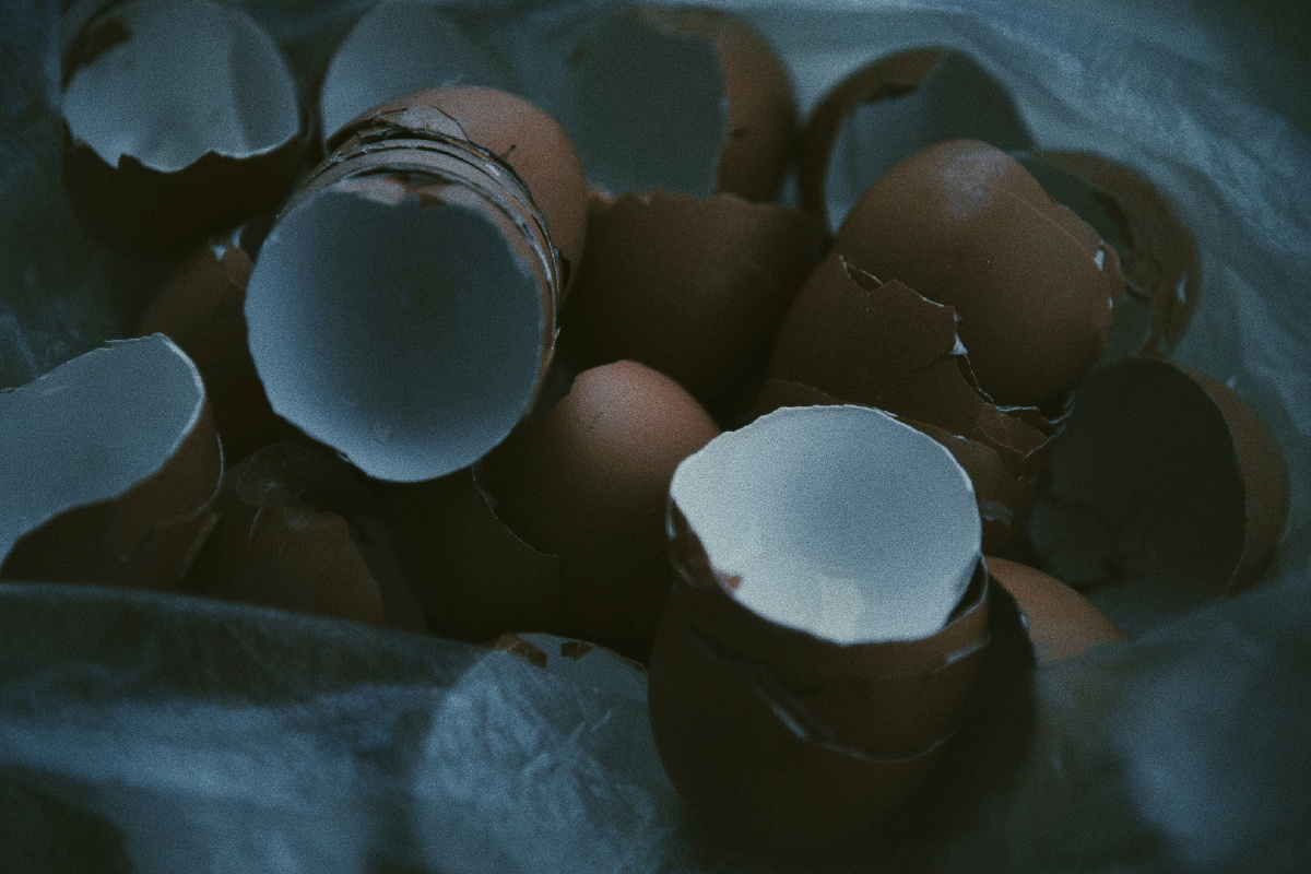 鸡蛋壳 - 一只没有感情的照相机 - 图虫