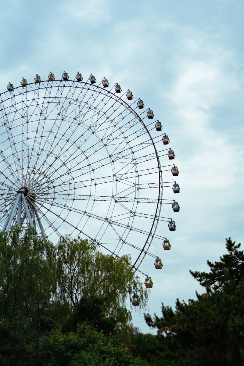 沈阳万泉公园的游乐场看到摩天轮和气球仿佛自己都回到了无忧无虑的