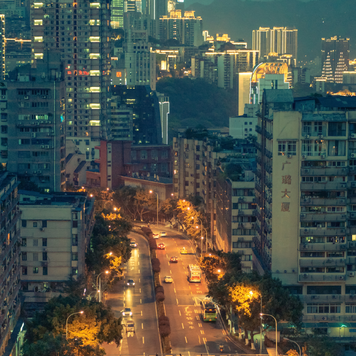 重庆61鹅岭二厂61夜景