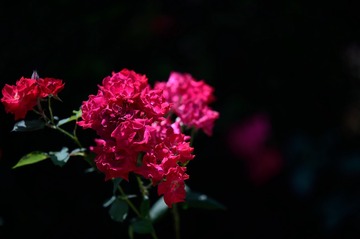 _DSC5755_3470