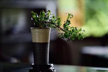 _DSC5804_3477