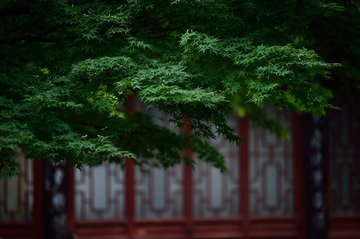 _DSC6703_3707