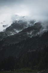 1207695