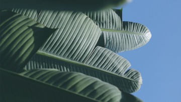 738A0364-0C17-4F56-9A53-E2E2E02A1E2D/L0/001