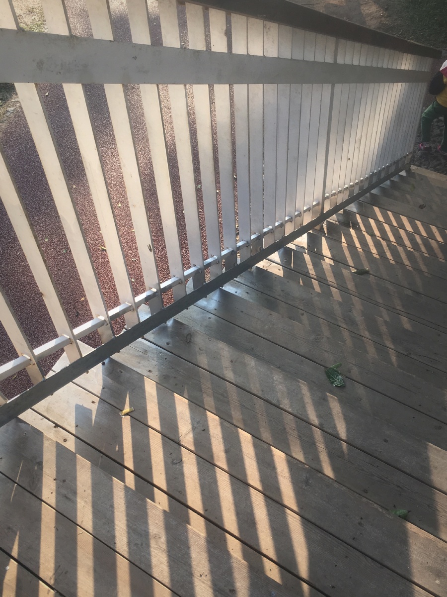 200208 宝贝已经8天没出门了!今天节日特赦她